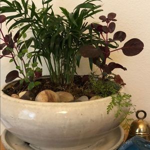 Meet your Posher, Kelli